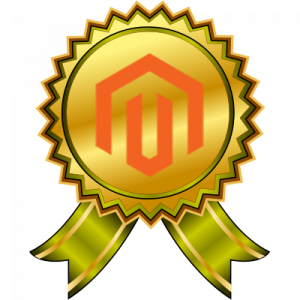 Adobe Certified Professional—Magento Commerce Developer